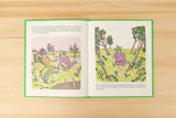 Shrek! / Kinderbuch Spanisch / William Steig / Jorge de Cascante