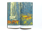 Le miroir aveugle / Bilderbuch Französisch  / Giacomo Nanni