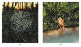 Dawn / Kinderbuch Englisch / Marc Martin