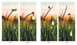 Dawn / Kinderbuch Englisch / Marc Martin