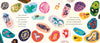 Our Pebbles / Bilderbuch Englisch / Jarvis
