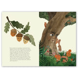 Don’t Eat Me! The Almost True Story of Belladonna / Bilderbuch Englisch / Kate Finney / Illustration von Esmé Shapiro