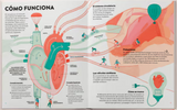 Un corazón / Bilderbuch Spanisch / Noemí Fabra