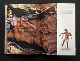 A Potter’s Tale / Bilderbuch Englisch / Ramu Velar