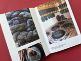Weaving with Compassion / Bilderbuch Englisch / Meera Goradia