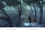 Island Storm / Bilderbuch Englisch / Brian Floca / Illustration von Sydney Smith