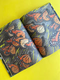 La mariposa monarca / Bilderbucher Spanisch / Kirsten Hall /  Illustration von Isabelle Arsenault