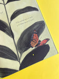 La mariposa monarca / Bilderbucher Spanisch / Kirsten Hall /  Illustration von Isabelle Arsenault