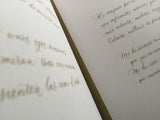Indigo/ Bilderbuch Spanisch / Elisabeth Pérez Fernández