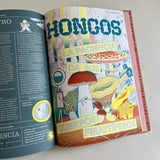 Hongos / Besondere Bilderbucher Spanisch / Jirí Dvorák / Illustration von Daniela Olejníková