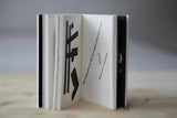 Pieces of my thought / Fragmentos de mis pensamientos / Bilderbuch Spanisch und Englisch