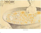 Pan NIKT / Polnisches Buch / Joanna Concejo