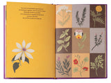 Ribes e Rose / Bilderbuch Italienisch / Enrica Borghi / Illustrationen von Cristina Amodeo