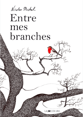 Entre mes branches / Zwischen meinen Zweigen / Bilderbuch Französisch / Nicolas Michel