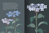De fleurs en fleurs / Von Blumen zu Blumen / Besonderes Bilderbuch Französisch / Anne Crausaz