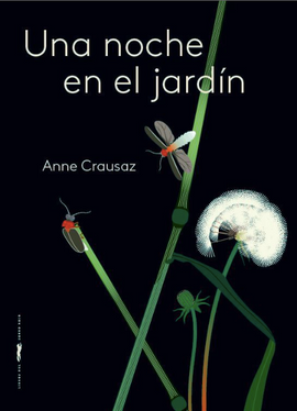 Una noche en el jardín / Bilderbuch Spanisch / Anne Crausaz