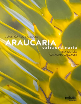 Araucaria extraordinaria / Bilderbuch Spanisch / Juan Carlos Gedda / Tita Garcia und Catalina Calcagni