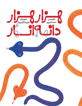 هزارهزاردانه‌انار/ The Pomegranate Girl / Persisches Buch / Ahmad Akbarpour