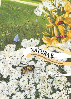 NATURA È... / Silent book / Bilderbuch Italienisch / Sonia Maria Luce Possentini