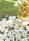 NATURA È... / Silent book / Bilderbuch Italienisch / Sonia Maria Luce Possentini