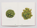 CACTUS / Besondere Bücher Italienisch / Alicia Baladan und  Marc Jeanson