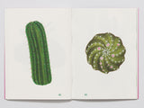 CACTUS / Besondere Bücher Italienisch / Alicia Baladan und  Marc Jeanson