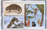 Was wir über Leben auf der Erde wissen / Bilderbuch Deutsch / Ziggy Hanaor / Illustriert von Cristóbal Schmal