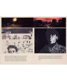Pan Wyrazisty / Polnisches Bilderbuch / Olga Tokarczuk , Joanna Concejo