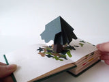 Branches / Besondere Pop-Up- und Handgemachte Bücher / Chisato