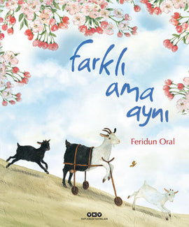 Farkli Ama Ayni / Kinderbuch Türkisch / Feridun Oral