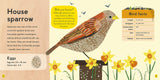 My First Book of Birds / Kinderbuch Englisch / Zoë Ingram