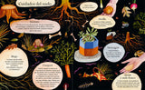 Manos a la Tierra, crea tu propio jardín / Kinderbuch Spanisch / Kirsten Bradley / Aitch