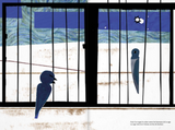 L’oiseau en cage / Kinderbuch Französisch / Vincent van Gogh / Javier Zabala