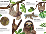Masters of Disguise: Can You Spot the Camouflaged Creatures? / Kinderbuch Englisch / Marc Martin