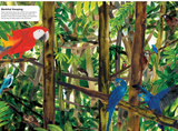 Masters of Disguise: Can You Spot the Camouflaged Creatures? / Kinderbuch Englisch / Marc Martin