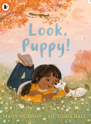 Look, Puppy! / Kinderbuch Englisch / Mary Murphy / Victoria Ball